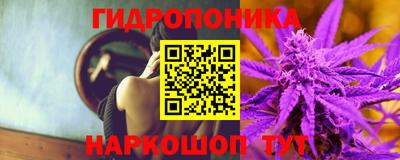 сатива Гусиноозёрск