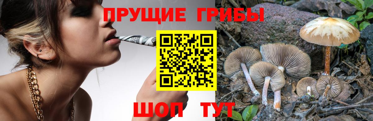 Псилоцибиновые грибы ЛСД  Галлюциногенные грибы Psilocybe  Вход с VPN  Медногорск 